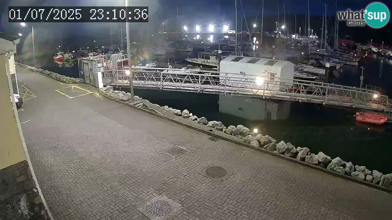 Fenit Marina livecam
