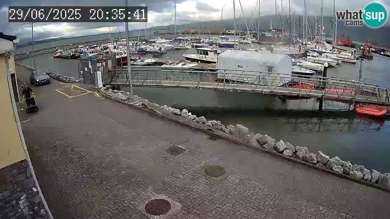 Fenit Marina web kamera