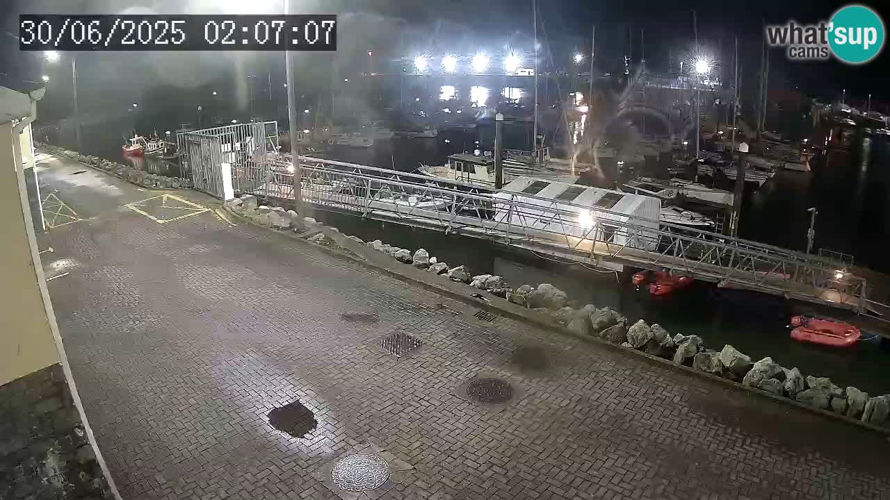 Fenit Marina spletna kamera
