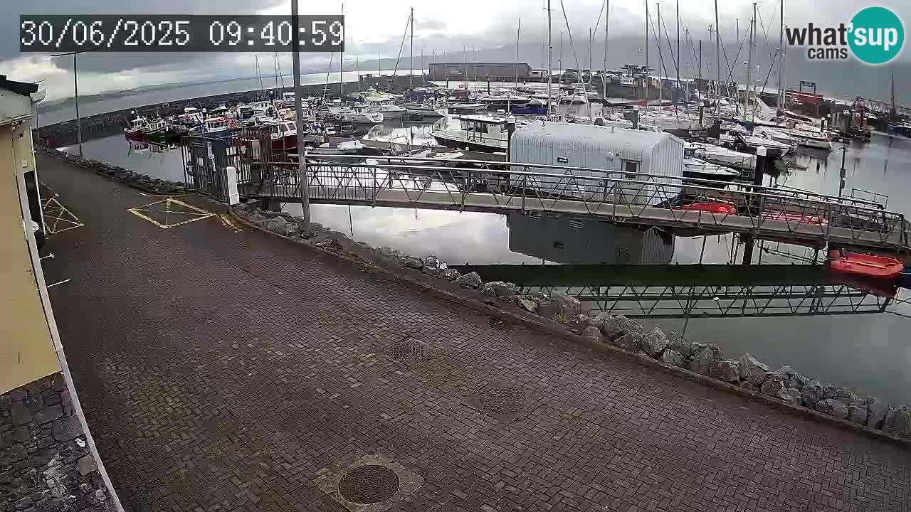 Fenit Marina livecam