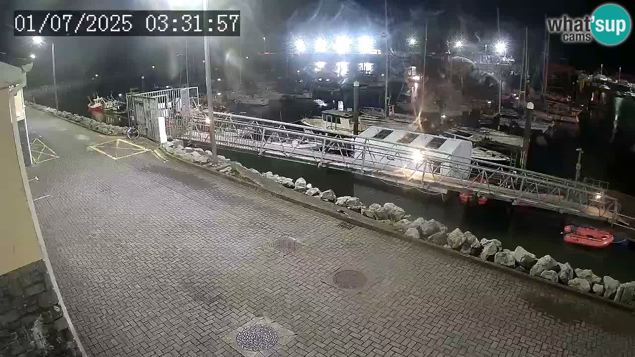 Fenit Marina webcam