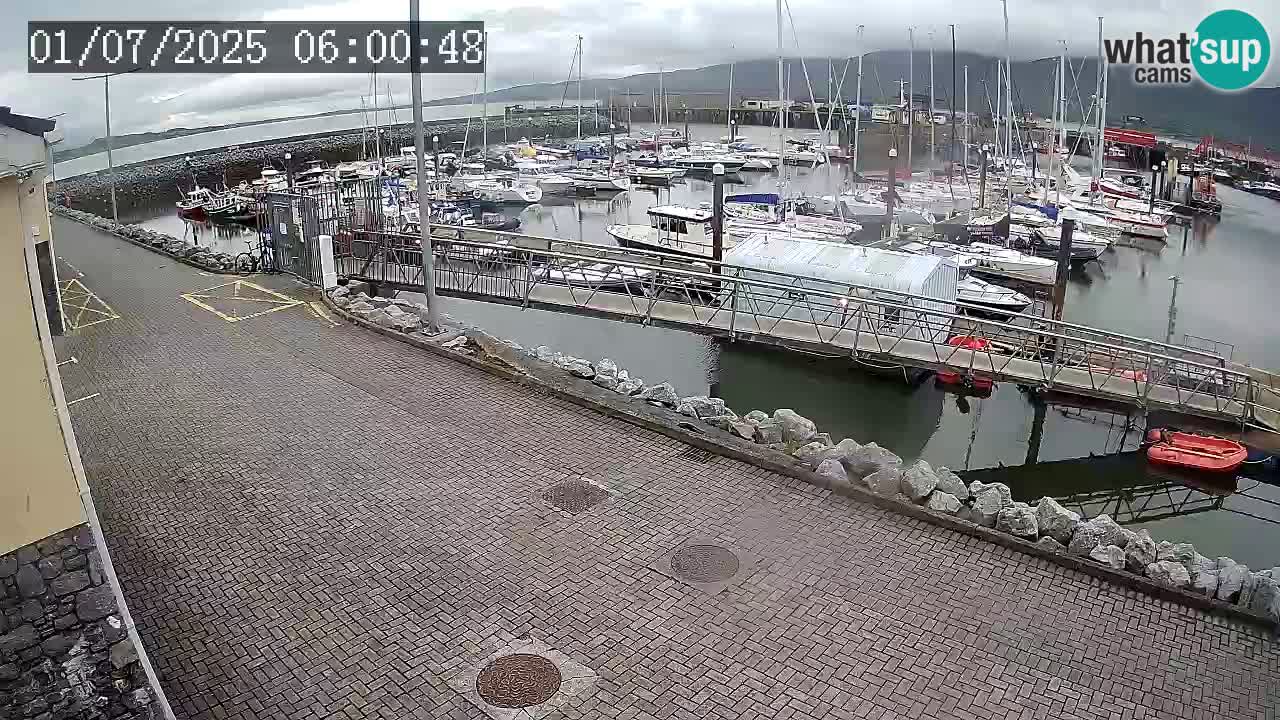 Fenit Marina spletna kamera