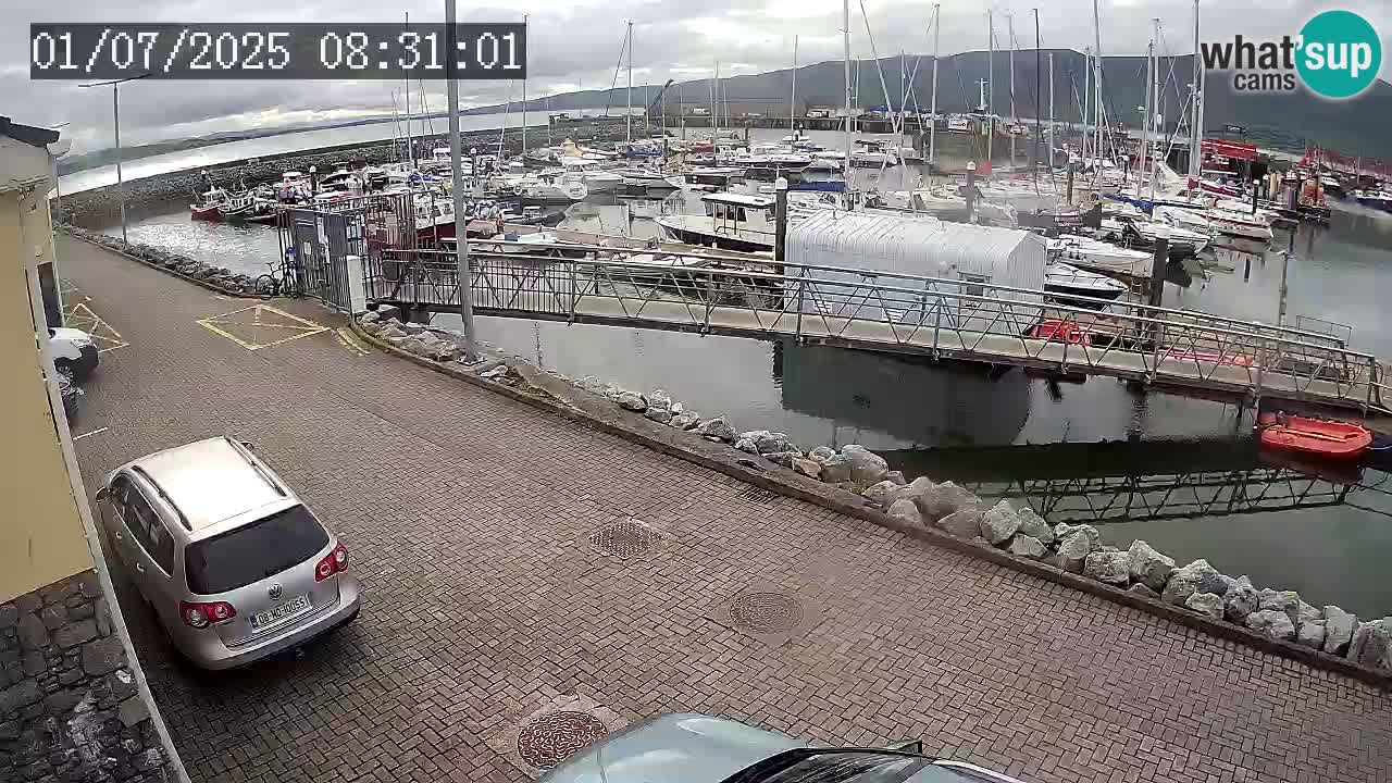 Fenit Marina livecam