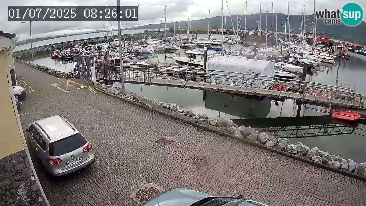 Fenit Marina web kamera