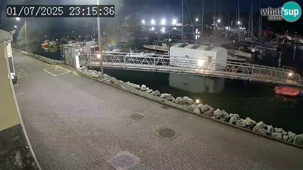 Fenit Marina livecam