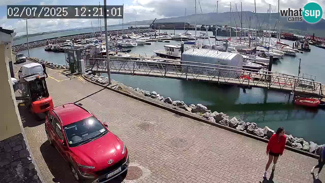 Fenit Marina spletna kamera