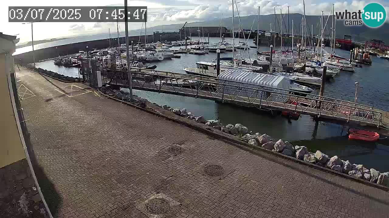 Fenit Marina livecam