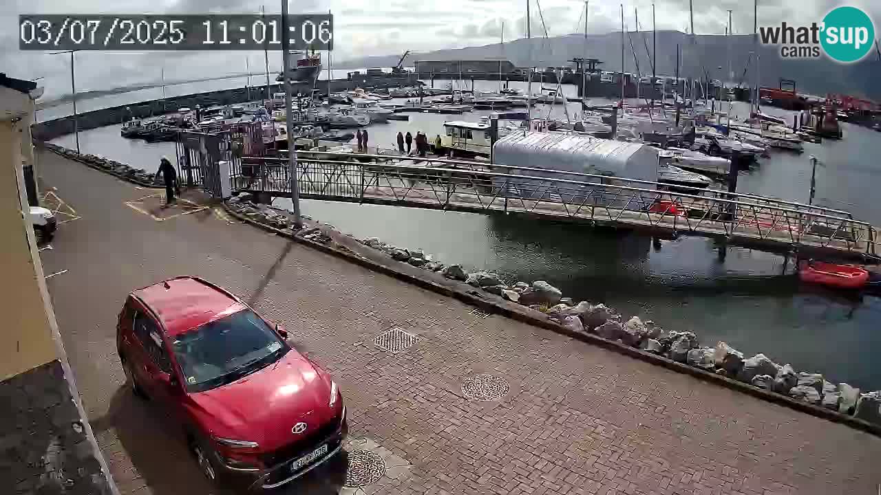 Fenit Marina spletna kamera