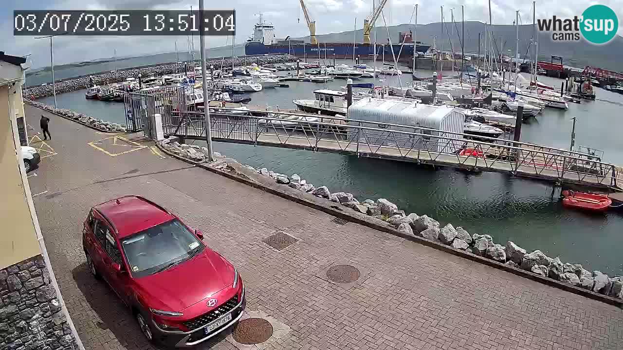 Fenit Marina livecam