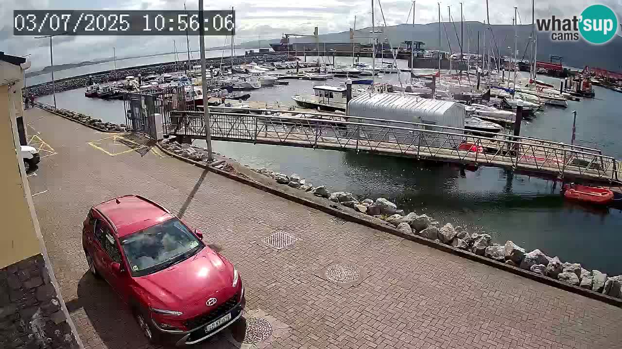 Fenit Marina live webcam
