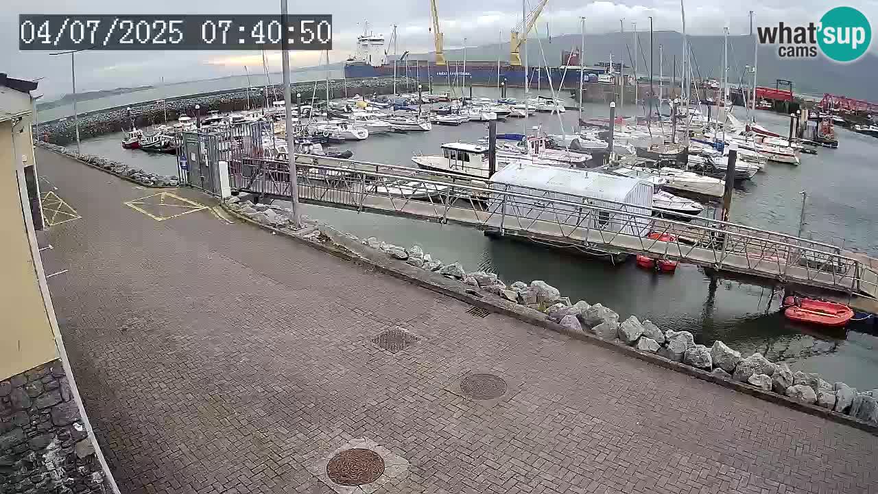 Fenit Marina spletna kamera