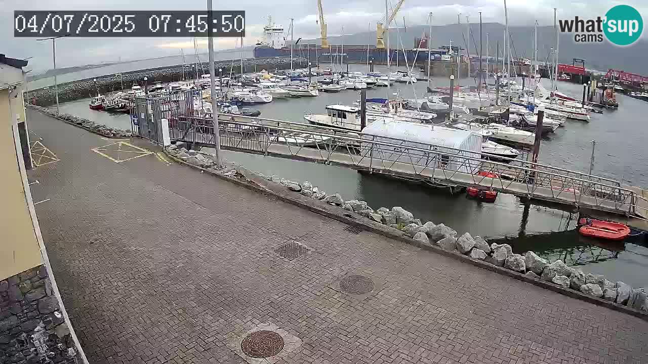 Fenit Marina livecam