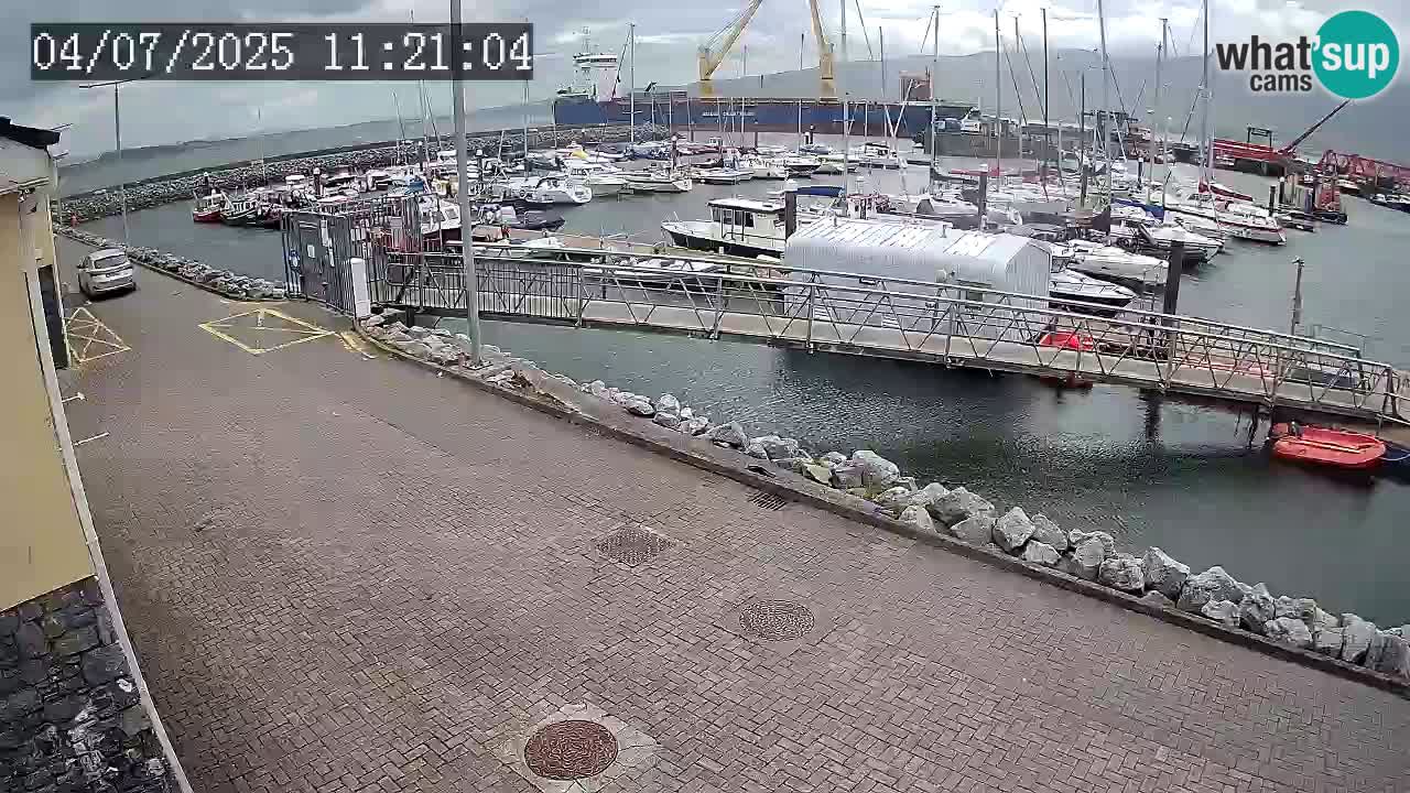 Fenit Marina web kamera