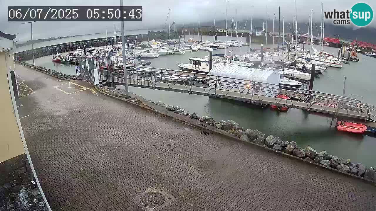 Fenit Marina spletna kamera
