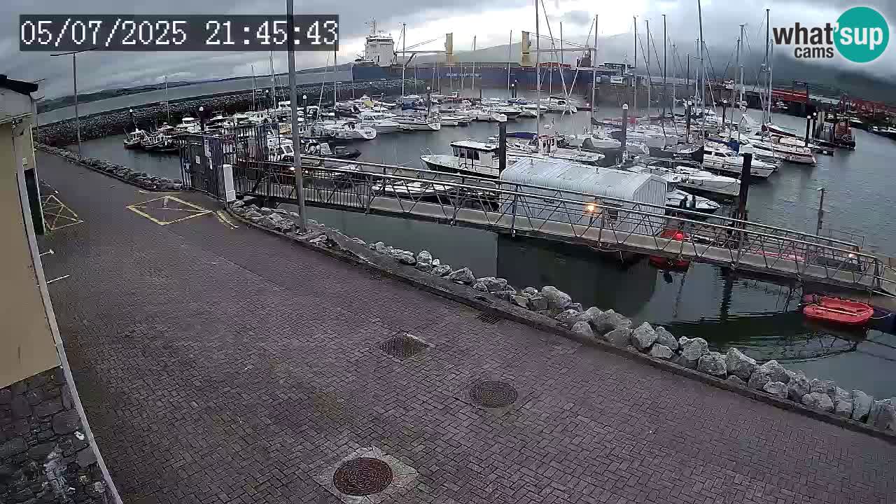 Fenit Marina spletna kamera