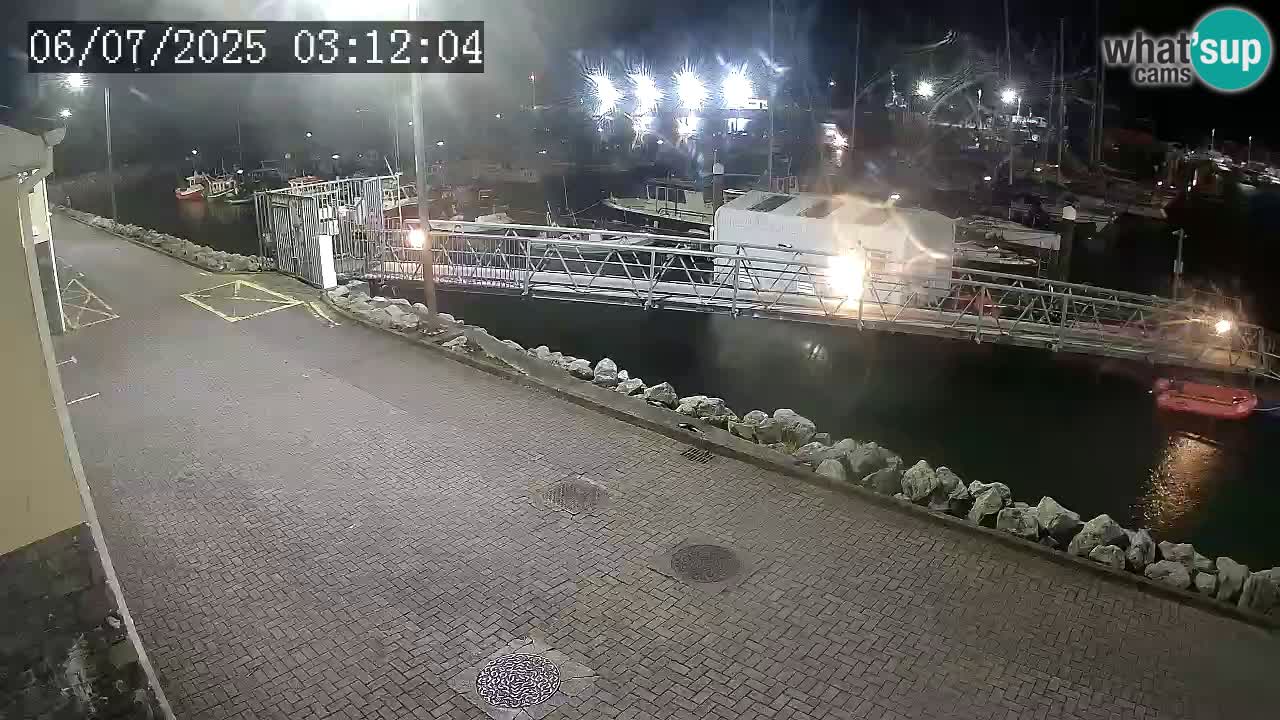 Fenit Marina live webcam