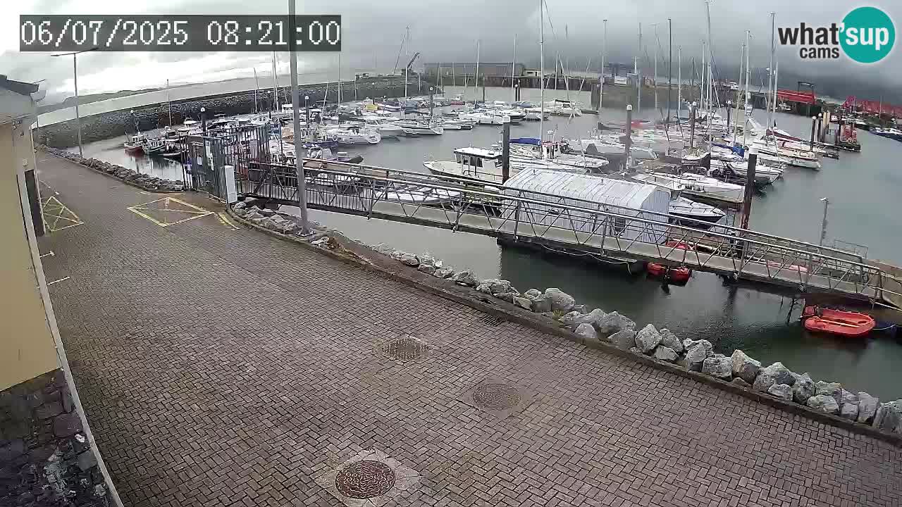 Fenit Marina spletna kamera