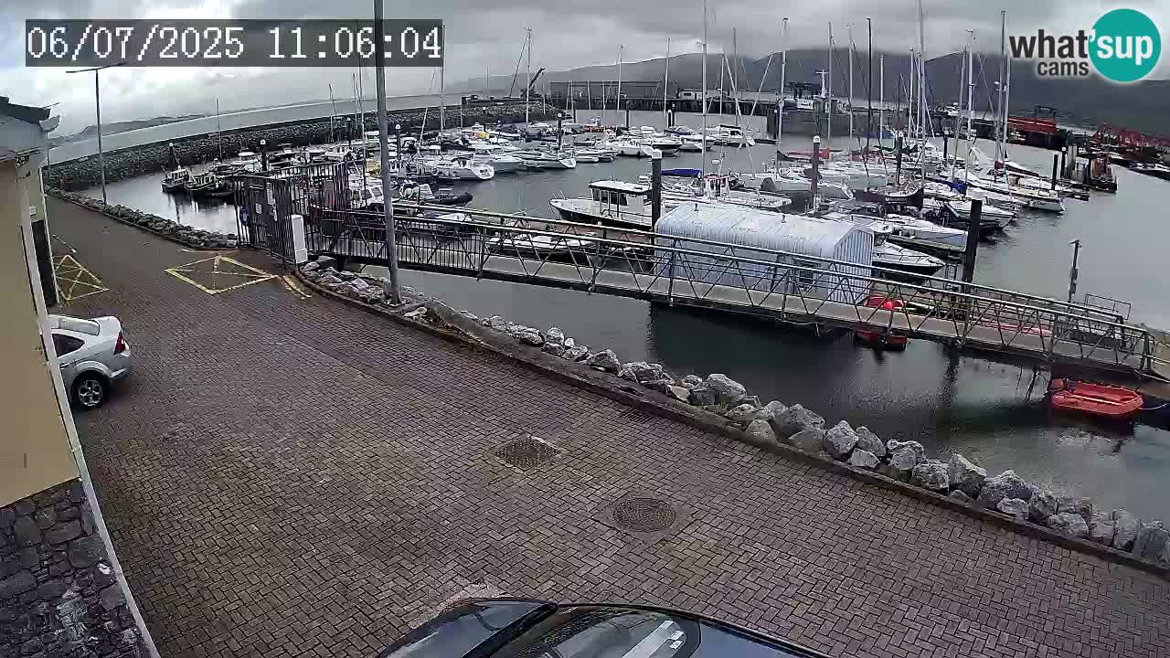 Fenit Marina spletna kamera
