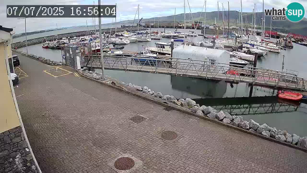 Fenit Marina live webcam