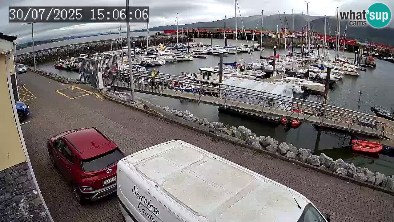 Fenit Marina livecam
