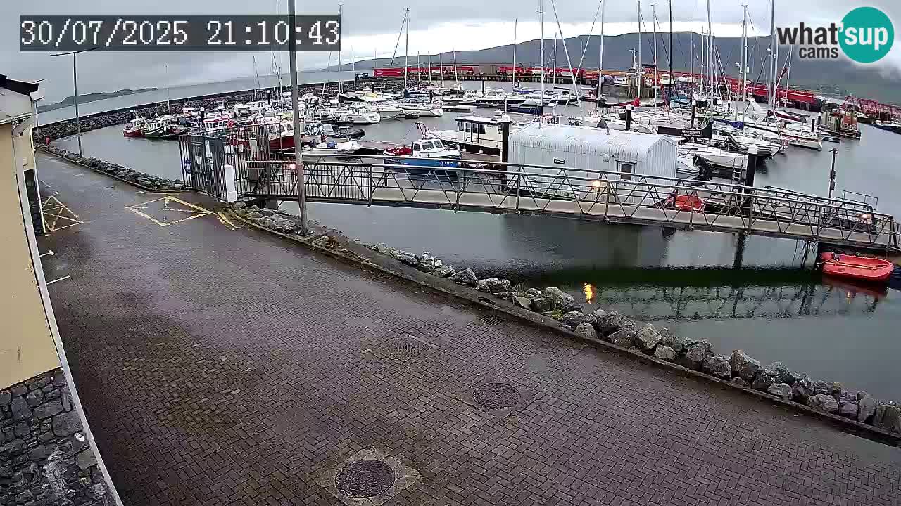 Fenit Marina web kamera