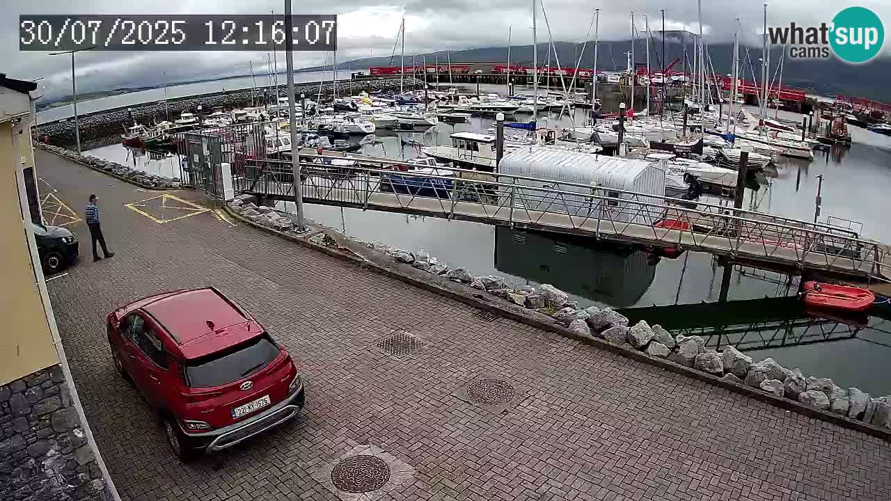 Fenit Marina camera en vivo