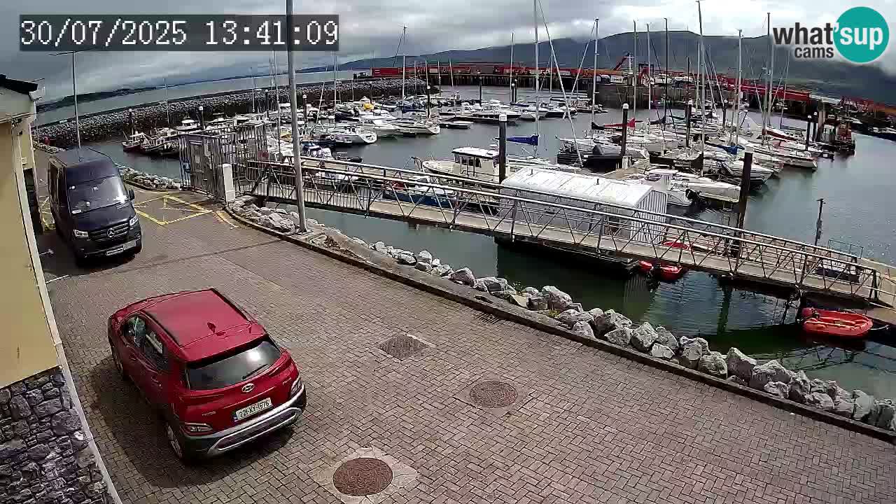 Fenit Marina livecam