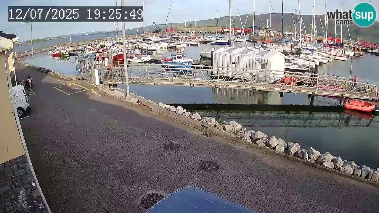 Fenit Marina spletna kamera