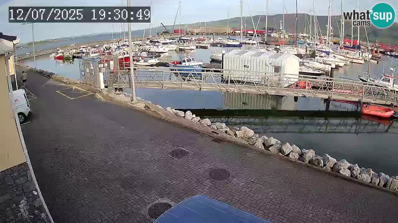Fenit Marina livecam