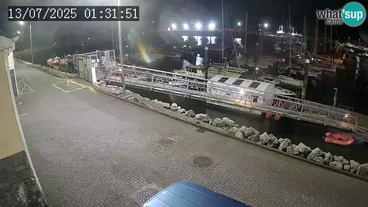 Fenit Marina livecam