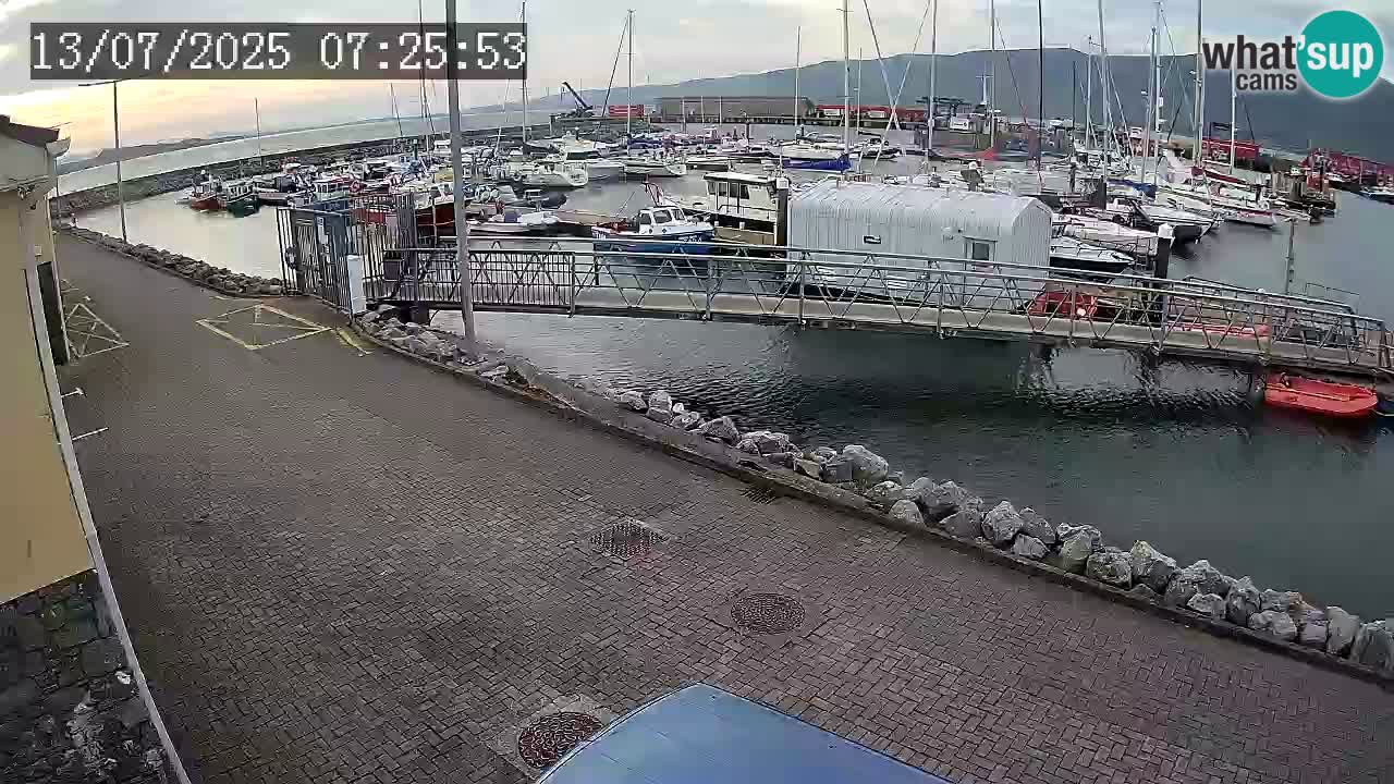 Fenit Marina live webcam