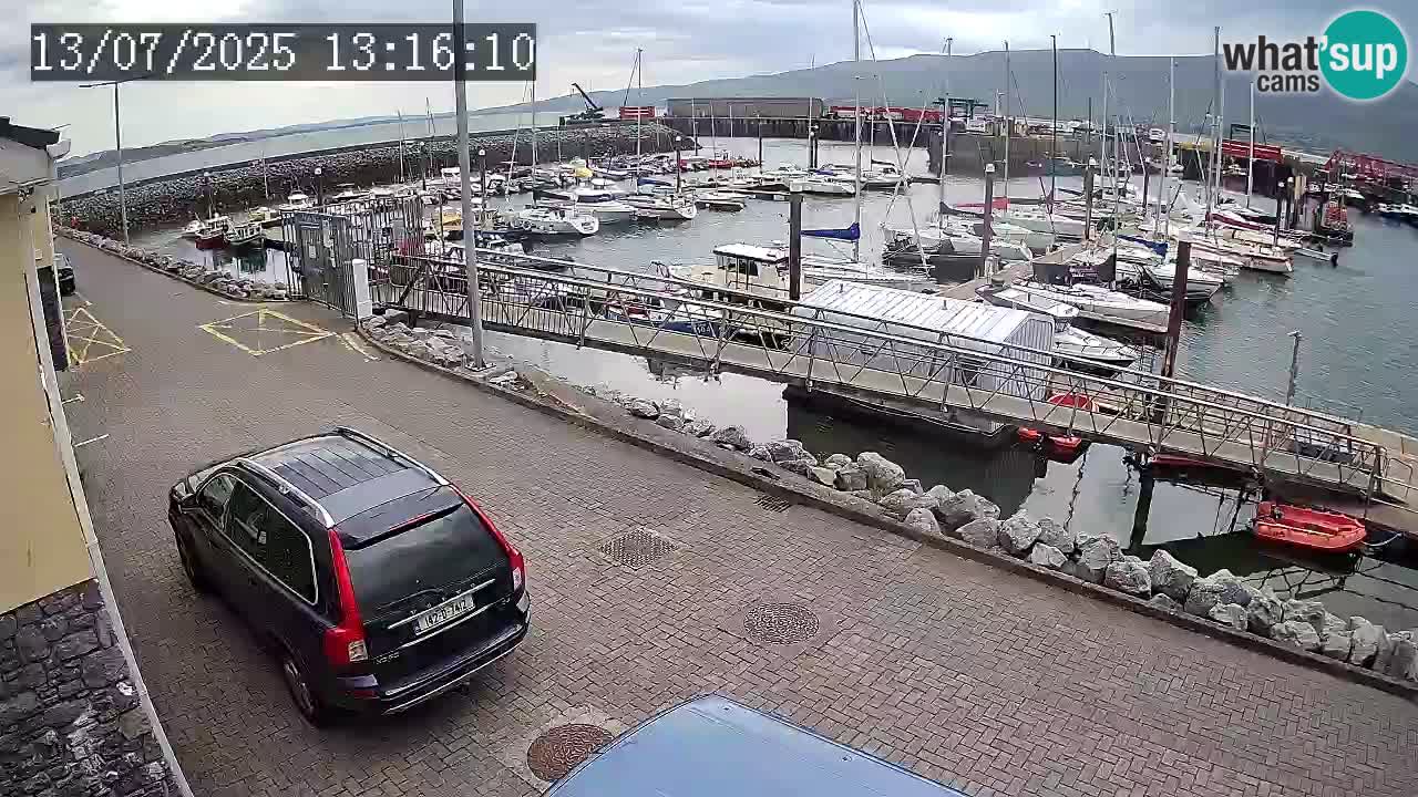 Fenit Marina livecam