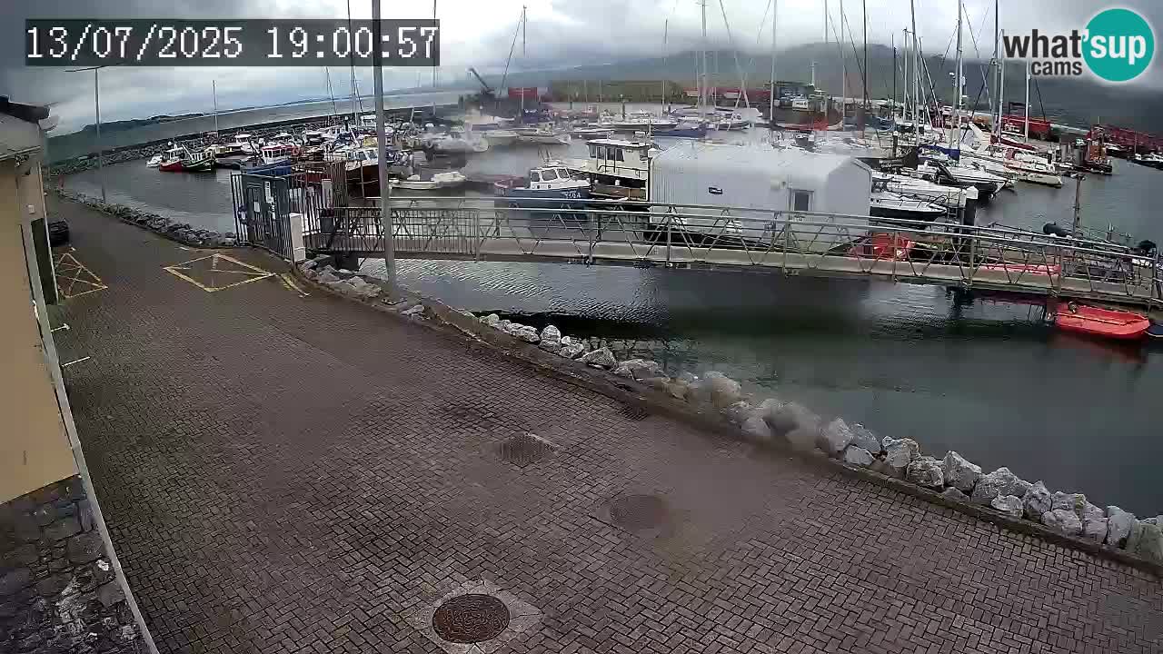 Fenit Marina spletna kamera