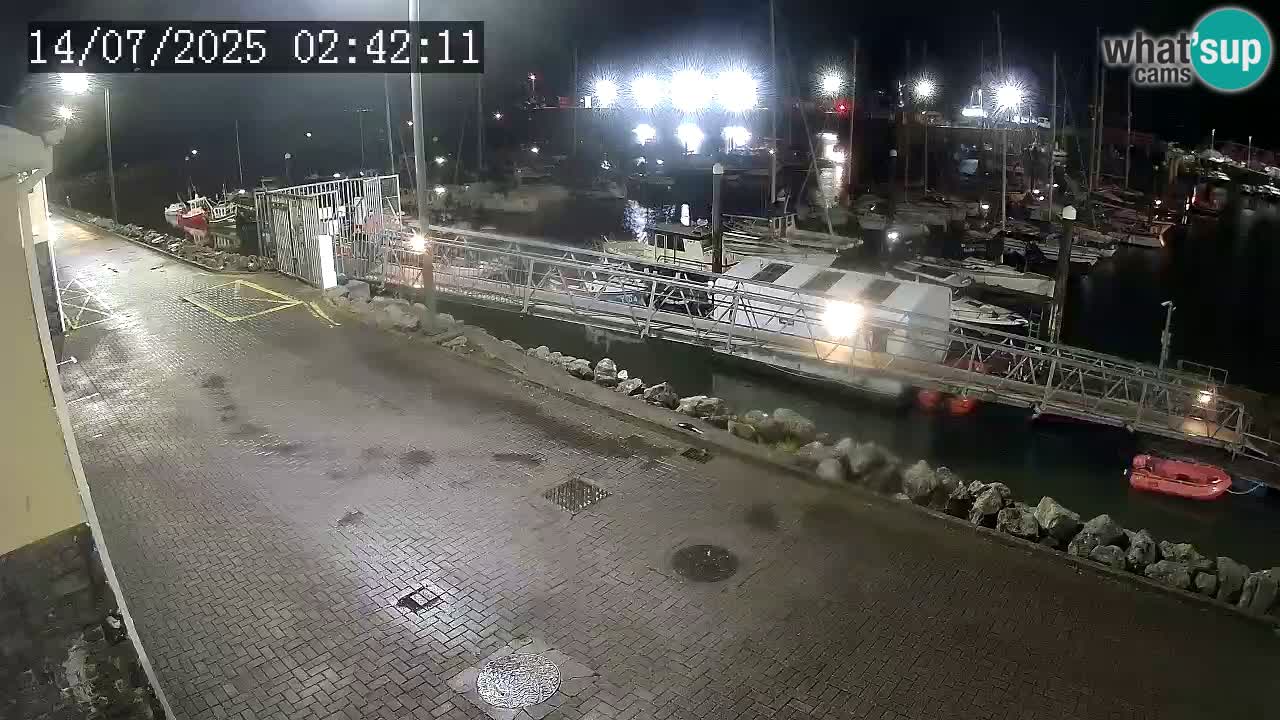 Fenit Marina webcam