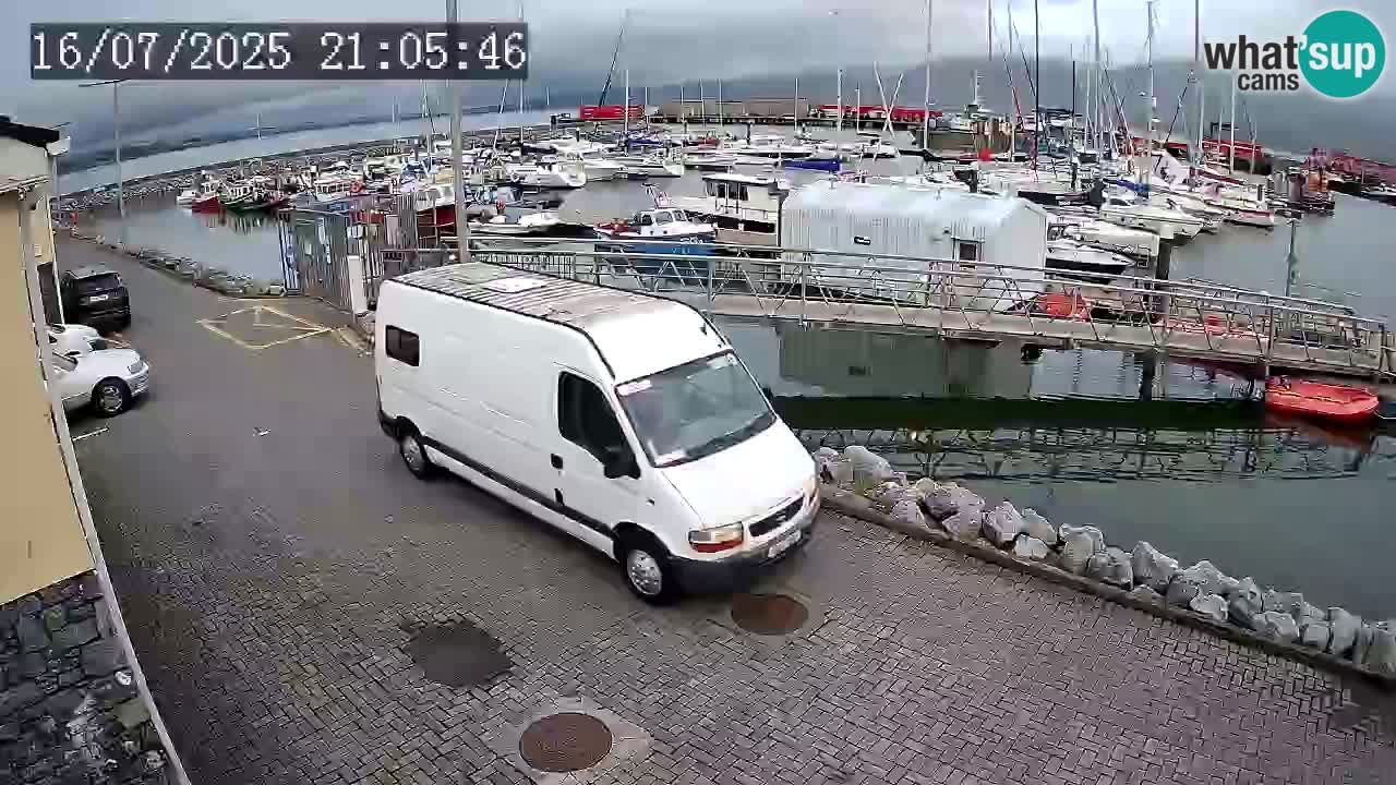 Fenit Marina camera en vivo