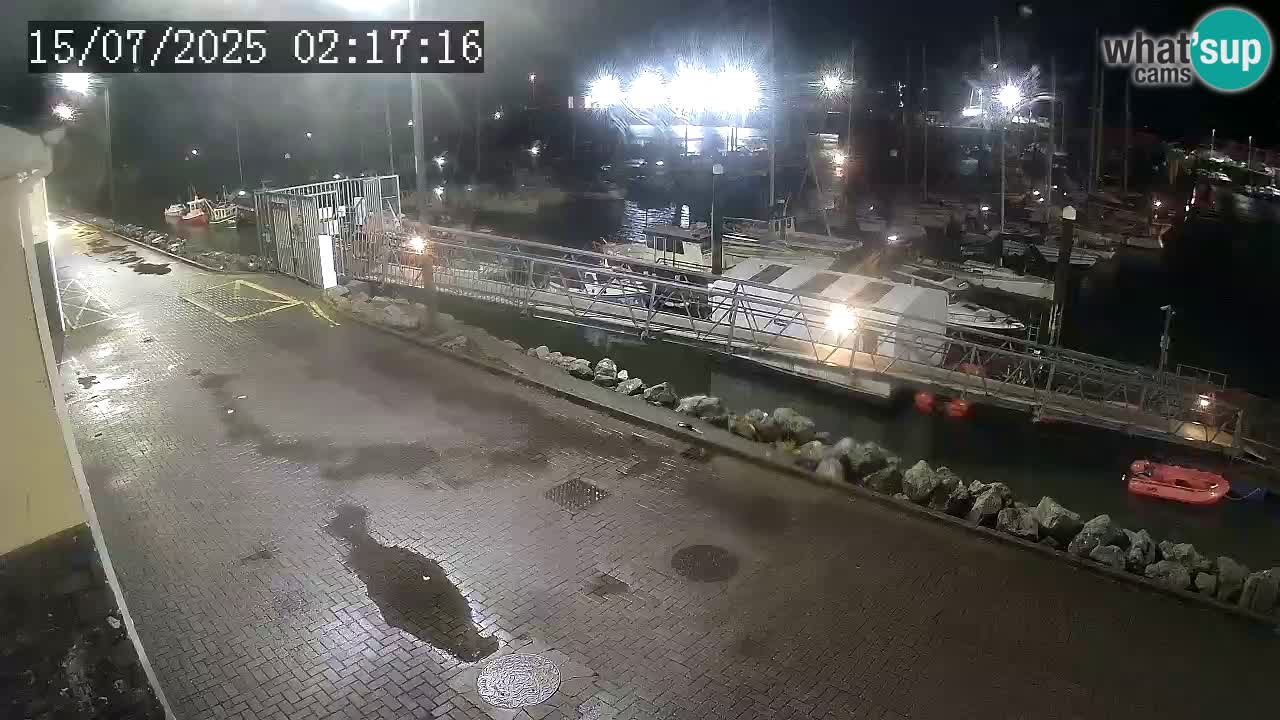Fenit Marina spletna kamera