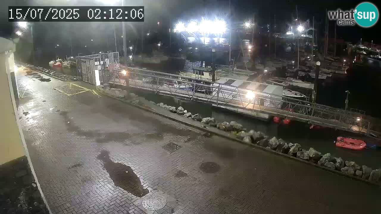 Fenit Marina livecam