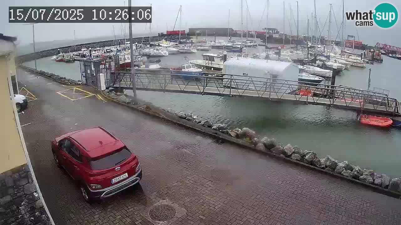 Fenit Marina livecam