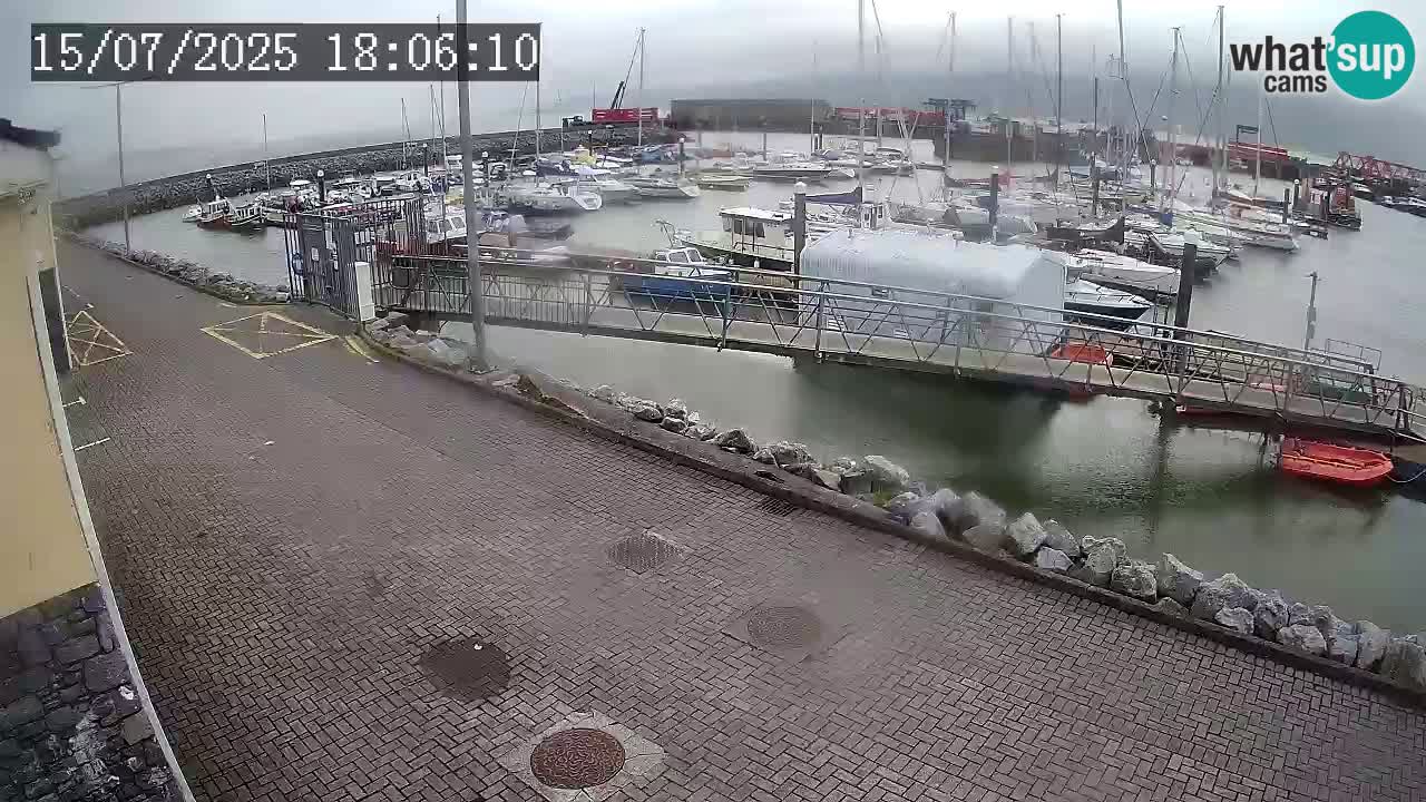 Fenit Marina livecam