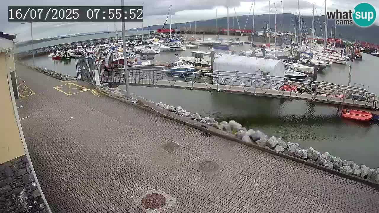 Fenit Marina webcam