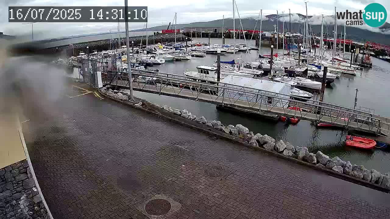 Fenit Marina webcam