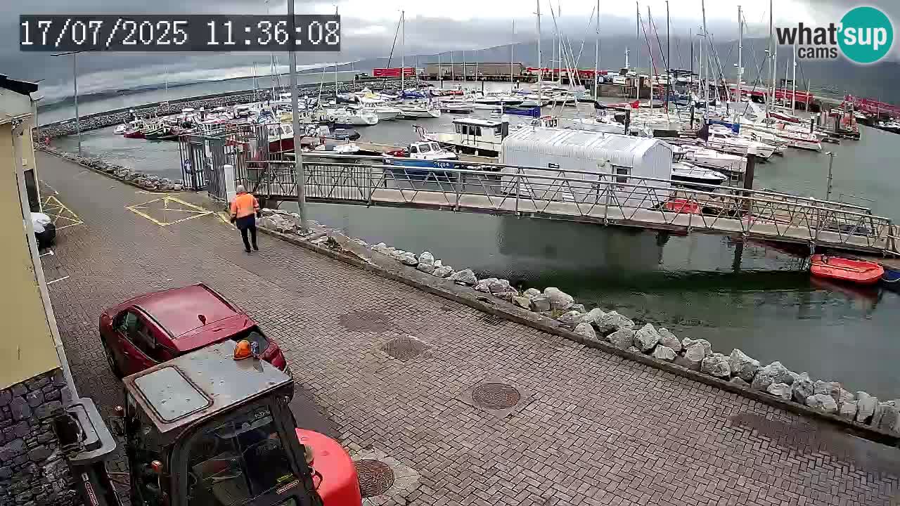 Fenit Marina live webcam