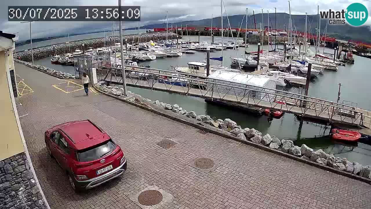 Fenit Marina spletna kamera