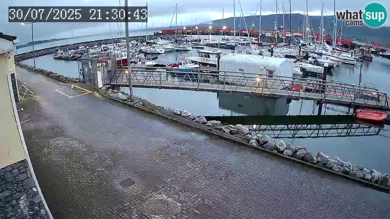 Fenit Marina webcam