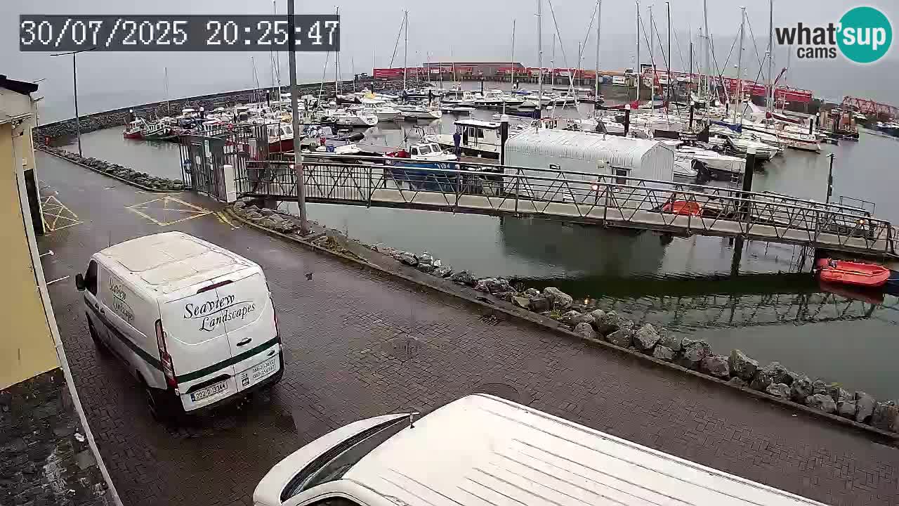 Fenit Marina camera en vivo