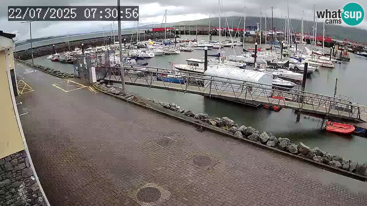 Fenit Marina livecam