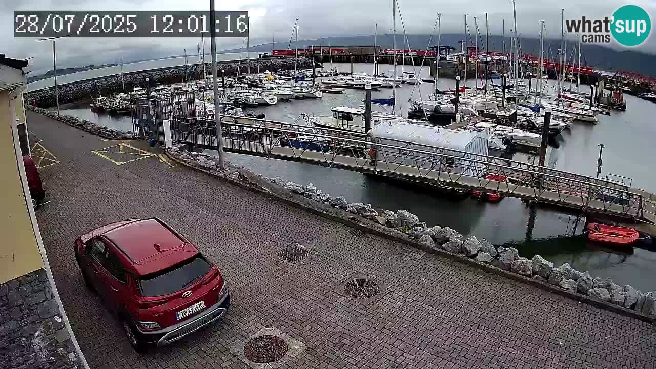 Fenit Marina livecam