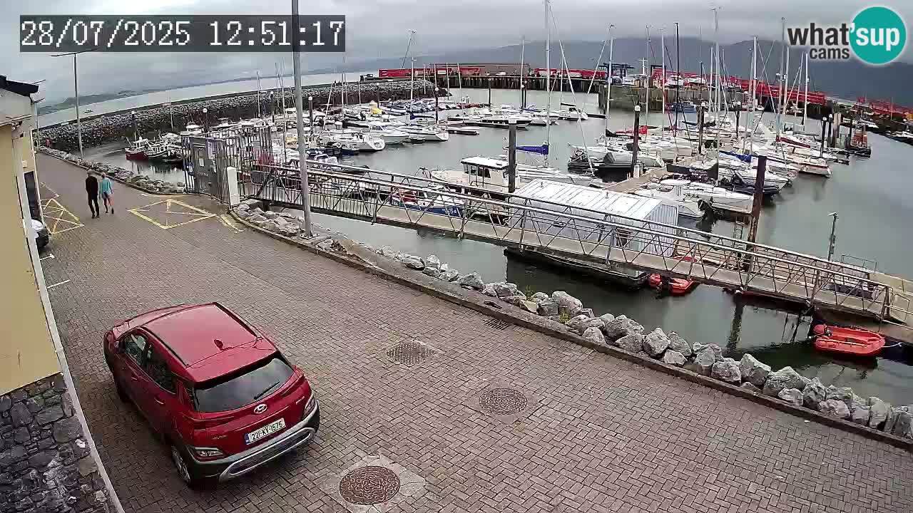 Fenit Marina livecam