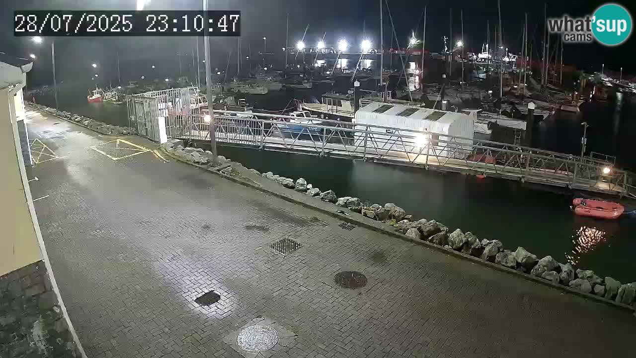 Fenit Marina livecam