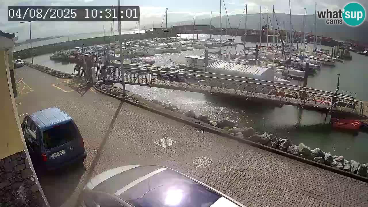 Fenit Marina webcam